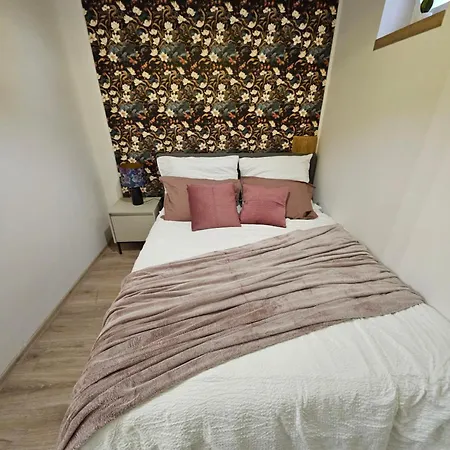 Anna Vendeghaz Oroszlány