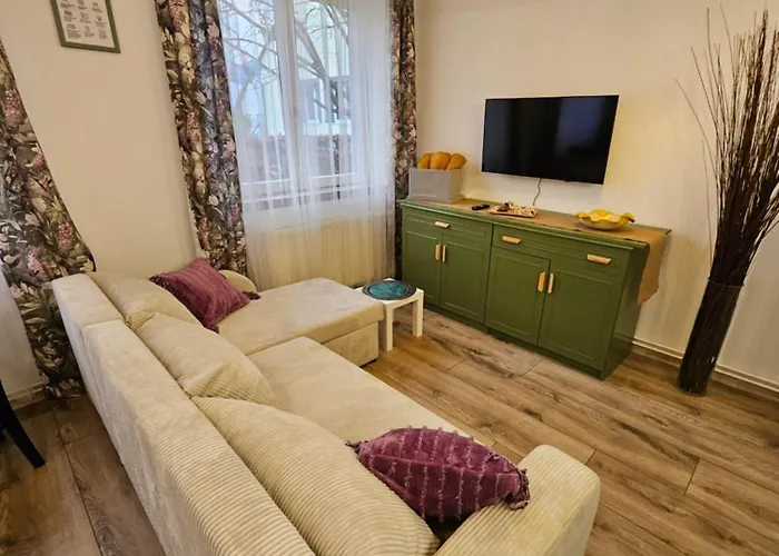 Anna Vendeghaz Apartament *